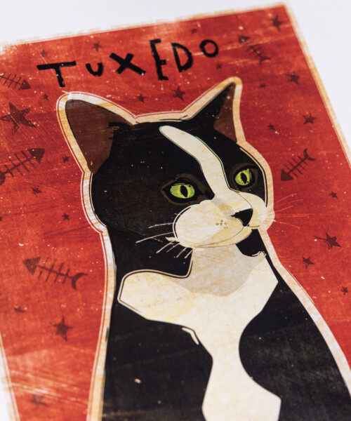 Tuxedo – ジョン・W・ゴールデン - LEBENSFARBE