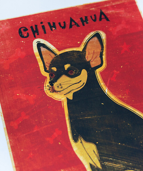 Chihuahua – ジョン・W・ゴールデン - LEBENSFARBE