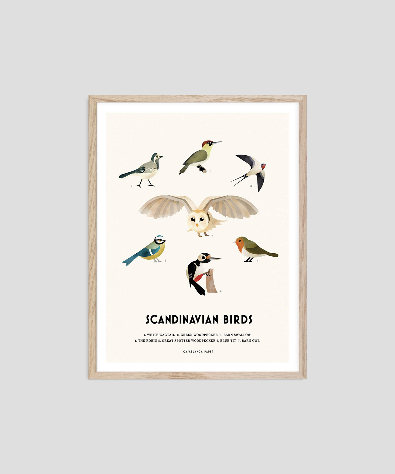 Scandinavian Birds – カサブランカ・ペーパー - LEBENSFARBE