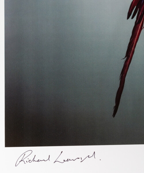 写真家Richard Learoyd 自筆サイン入りエキシビションポスター Large parrots, 2022 – リチャード・レアロイド - LEBENSFARBE