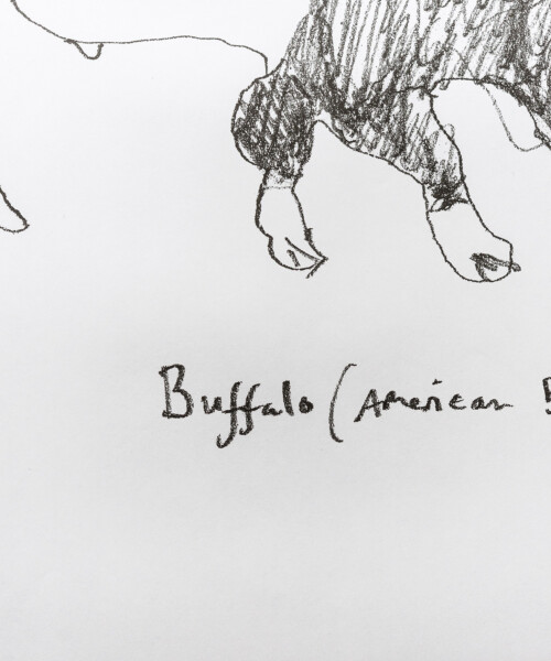 BUFFALO ZINE バッファロージン No.2 アートブック 自由な形式のアートBOOK、ZINE（ジン）について | 絵本と表現
